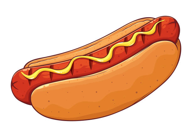 Hot Dog With Mustard Hand Drawing Delicious classic american hot dog with mustard, hand drawn vector illustration isolated on white background hot dog stock illustrations