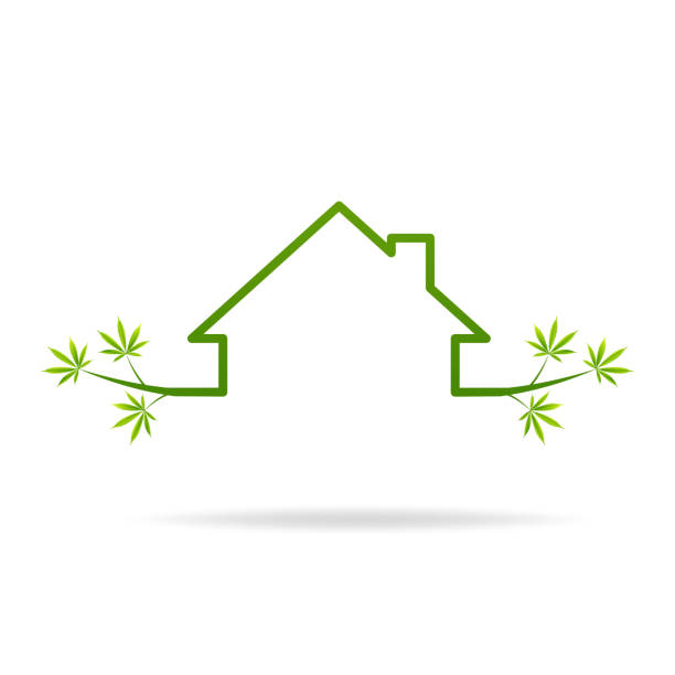 house, home, marijuana outline icon. Can be used for web, logo, vector art illustration