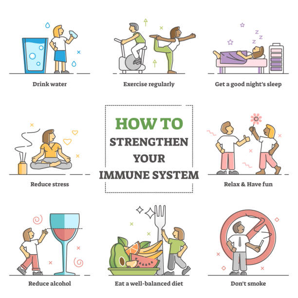 ilustrações de stock, clip art, desenhos animados e ícones de how to strengthen immune system and health advices collection outline concept - alimentos sistema imunitário