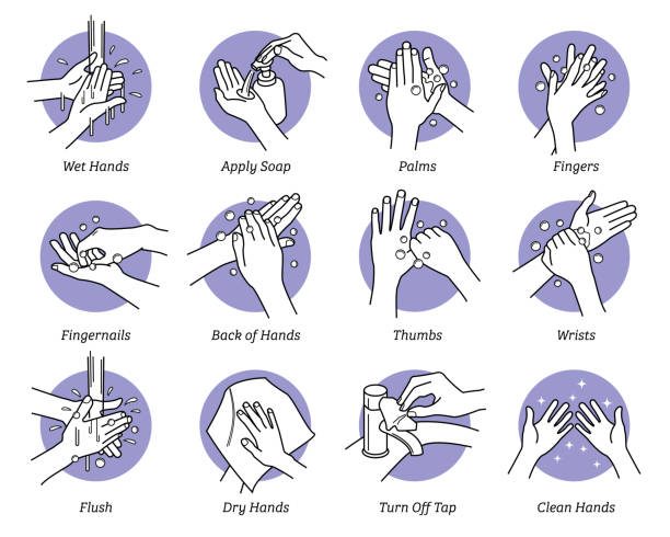 How to wash hands step by step instructions and guidelines. Vector illustrations of hand washing with water soap on palms, fingers, fingernails, back, thumbs and wrists. Flush, dry hands, clean hands. human joint stock illustrations