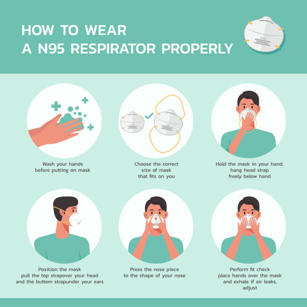 How to wear a n95 mask stock illustration How to wear a n95 respirator properly infographic, healthcare and medical about virus protection and infection prevention, vector illustration n95 mask stock illustrations