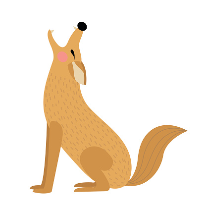 Howling Coyote animal cartoon character vector illustration.