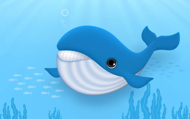 bildbanksillustrationer, clip art samt tecknat material och ikoner med enorma blåval under havet. söt undervattens varelser lever under havet fauna av tropisk tecknad vektor illustration. - blue whale