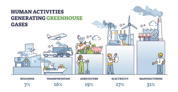 Human activities generating greenhouse gases with percentage outline diagram vector art illustration