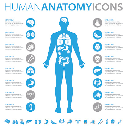 Medical infographics collection, charts, symbols, graphic vector elements