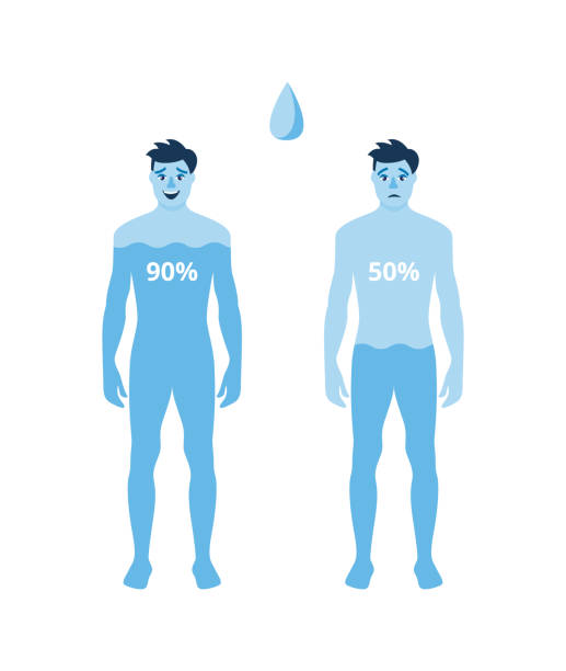 Human body hydration level poster - blue cartoon men filled with water Human body hydration level poster - hydrated and dehydrated cartoon men filled with blue water on different percentage. Health infographic - flat isolated vector illustration. half happy half sad stock illustrations