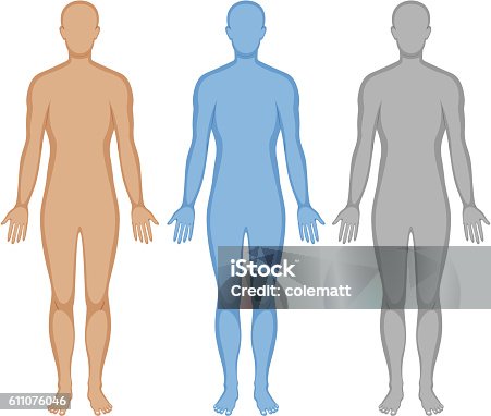 istock Human body outline in three colors 611076046