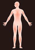 human body silhouette, face as seen from the side, vector illustration