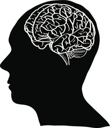 Human Brain Vector Outline Sketched Up Stock Illustration - Download ...
