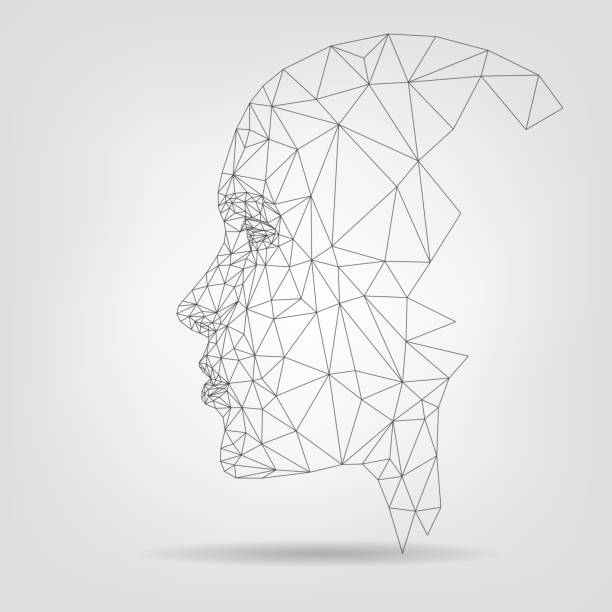 Human face, polygonal mesh Human face on a white background, polygonal mesh, technology, biometric human head stock illustrations