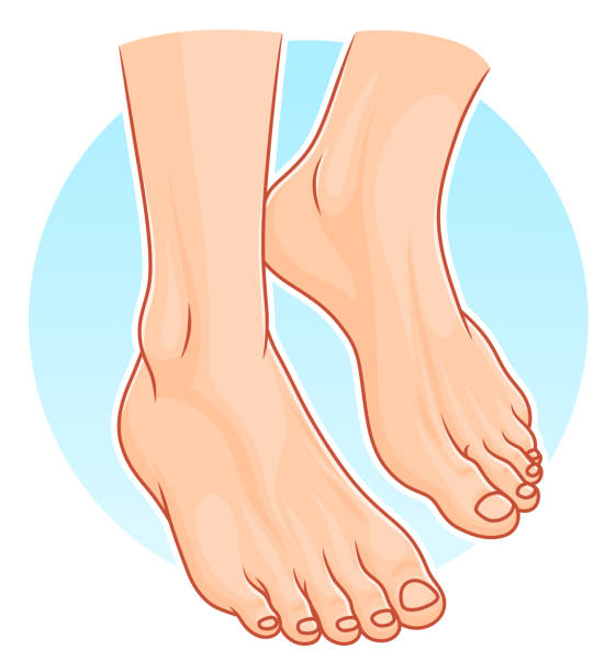 Royalty Free Foot Doctor Clip Art, Vector Images & Illustrations - iStock