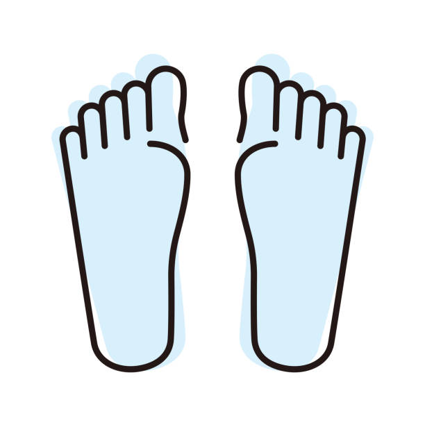 ilustrações de stock, clip art, desenhos animados e ícones de human foot flat icon, vector illustration - pes