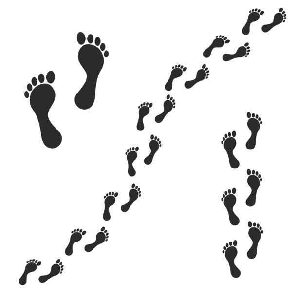 Human foot. Footprint path, footprints. Vector Human foot. Footprint path, footprints. Vector illustration bare feet stock illustrations