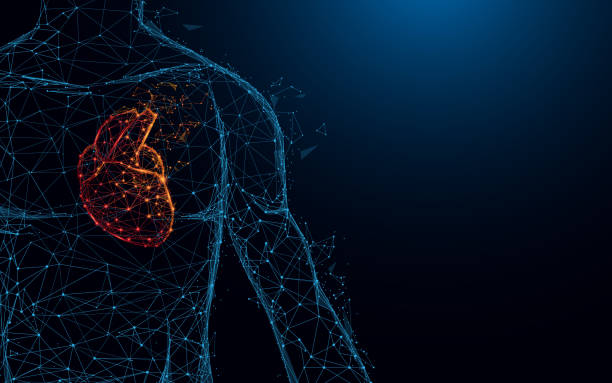 인간의 심장 해부학 양식 선과 삼각형, 파란색 배경에 연결 네트워크를 가리킵니다. 일러스트 벡터 - heart stock illustrations