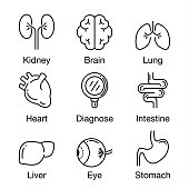 Human internal organ and in Magnifying glass icon at center. Illustration about health check up concept.