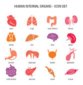 Vector of Human Internal Organs Icon Set