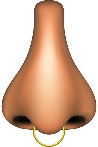Human nose with golden piercing