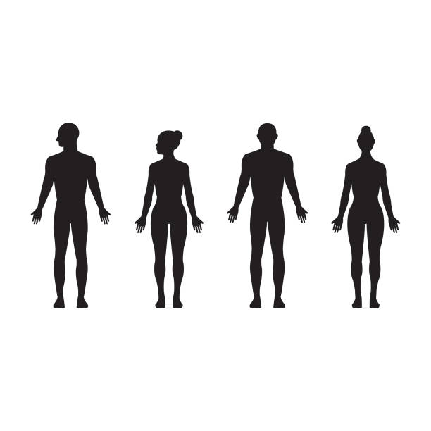 Human silhouette male and female, man and woman realistic black isolated vector icon set Realistic vector illustration of human male and female silhouettes women silhouettes stock illustrations