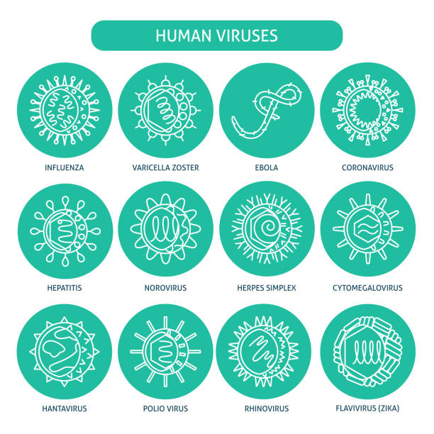 i̇nsan virüs türleri simgesi ince çizgi stilinde ayarlanmış - polio stock illustrations