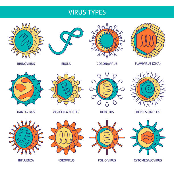 ilustraciones, imágenes clip art, dibujos animados e iconos de stock de icono de virus humanos establecido en estilo de línea de color - polio