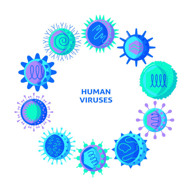 Human viruses round concept poster in flat style Human viruses round concept poster in flat style with place for text. Microbiology poster with infection cells symbols. Vector illustration. polio stock illustrations