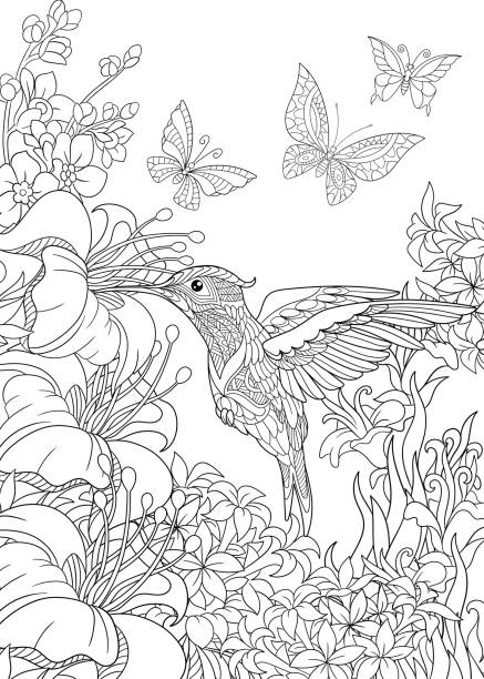 Hummingbird and butterflies Hummingbird, butterflies and hibiscus flowers. Freehand sketch for adult coloring book page. adult coloring stock illustrations