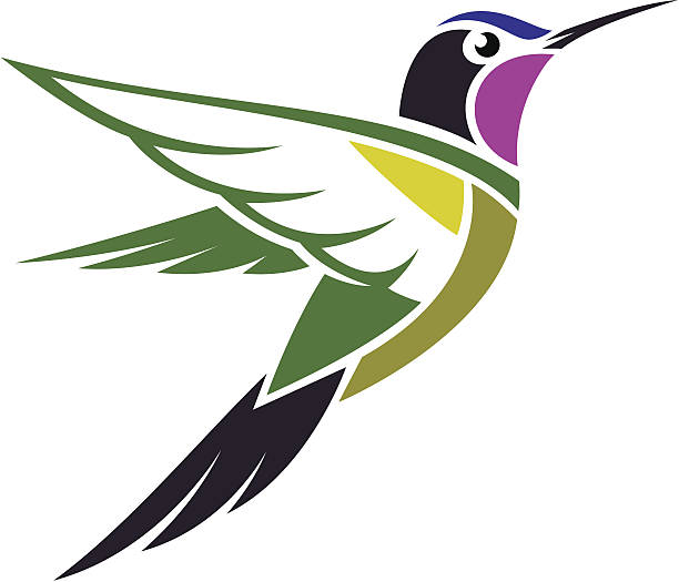 Royalty Free Hummingbird Clip Art, Vector Images