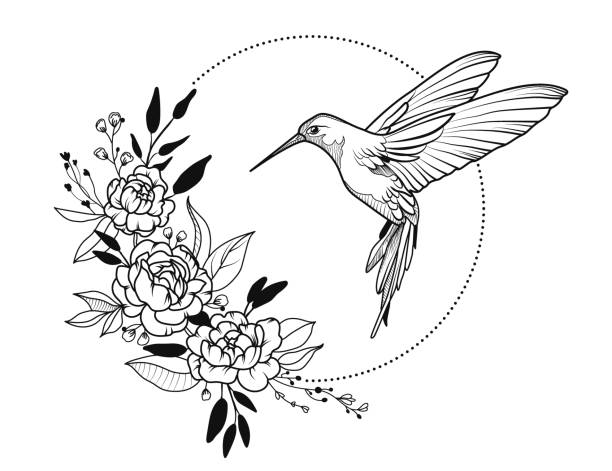Hummingbird, Wreath with peony. Flying bird, vector illustration. hummingbird stock illustrations