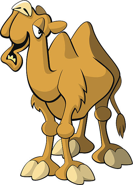 горб день верблюжий - hump day cartoon stock illustrations.