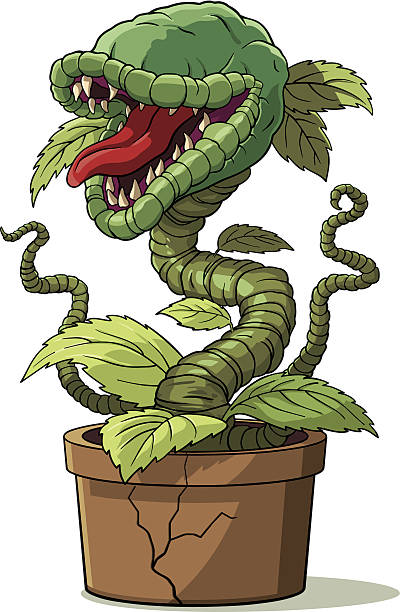 Hungry carnivorous plant. This layered .eps file consists of the line-work and the base colours, with several layers in between for the shadows and highlights. carnivorous stock illustrations