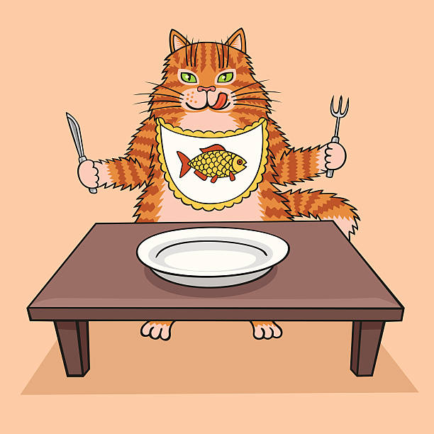 stockillustraties, clipart, cartoons en iconen met hungry cat wants to eat. - huisdier met overgewicht op een schaal, dikke kat