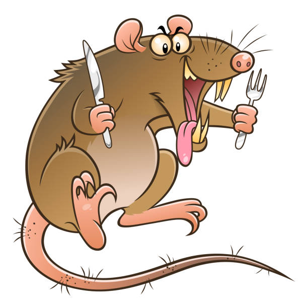hungry rat - evil rat stock illustrations.
