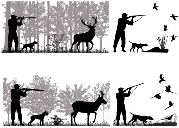 Hunter Man with dog is hunting for deer, pronghorn, ducks and pheasants duck stock illustrations