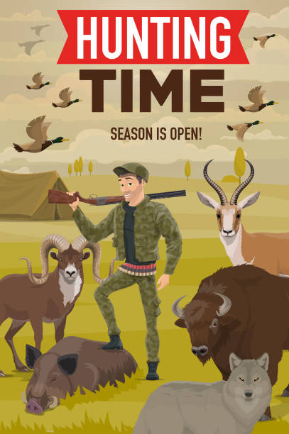 Hunter with hunting trophy, gun, animals and birds Hunter hunting for duck birds, buffalo and wolf animals, antelope, boar and mouflon with gun, rifle and cartridge belt. Vector huntsman posing with trophy and ammunition near tent of hunting camp buffalo shooting stock illustrations