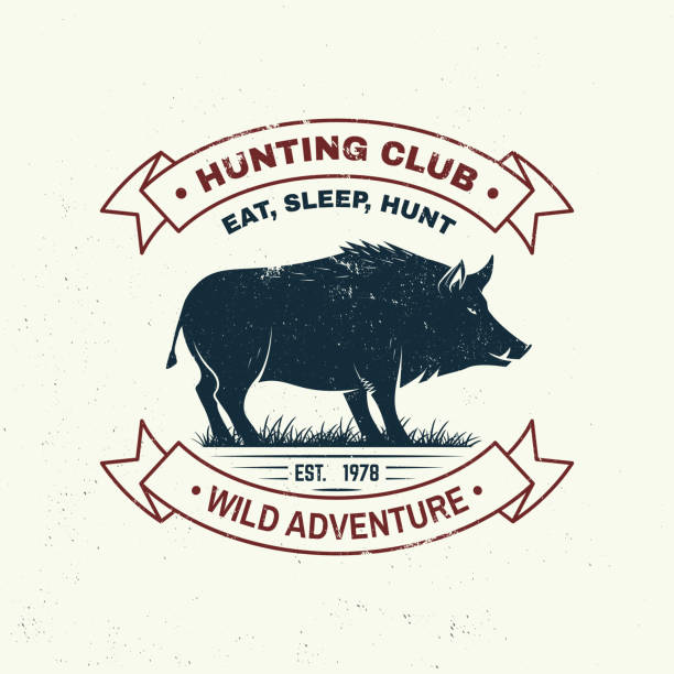 Hunting club badge. Eat, sleep, hunt. Vector illustration. Concept for shirt, label, print, stamp, badge, tee. Vintage typography design with boar silhouette. Outdoor adventure hunt club emblem Hunting club badge. Eat, sleep, hunt. Vector illustration. Concept for shirt or label, print, stamp, badge, tee. Vintage typography design with boar silhouette. Outdoor adventure hunt club emblem domestic pig stock illustrations