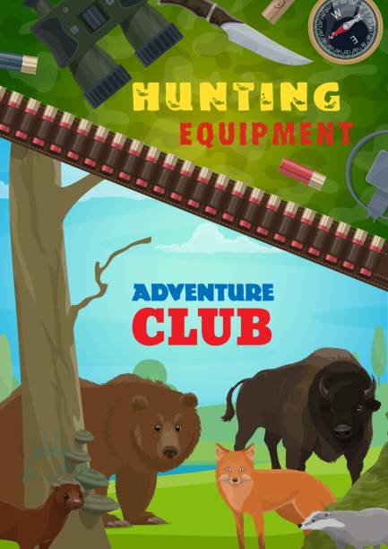 Hunting equipment, adventure club vector poster Hunting equipment, adventure club vector poster. Cartoon hunter ammo knife, cartridge belt, binoculars and compass with forest animals fox, bear and buffalo with badger and weasel, hunt season opening buffalo shooting stock illustrations