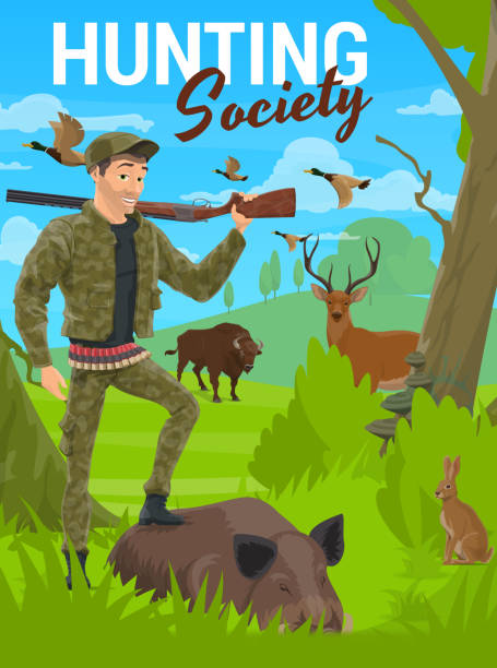 Hunting, forest deer, wild animals, hunter rifle Hunting, forest deer and wild animals, hunter with rifle on trophy, vector. Hunting season for deer stag, boar hog and rabbit, and ducks, hunter in camouflage and bandoleer bullet belt ammunition buffalo shooting stock illustrations
