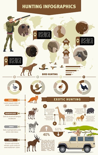 Hunting infographics with safari hunting animals