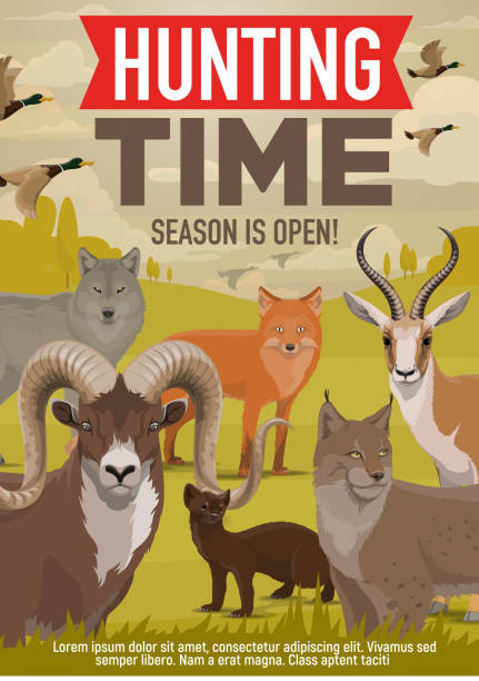 ilustrações de stock, clip art, desenhos animados e ícones de hunting open season, forest wild animals and birds - grouse flying