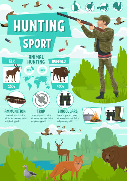 Hunting sport poster with hunter and wild animals Hunter with rifle on hunting sport poster for hunt season. Huntsman equipment and ammunition, gun and trap, binoculars and boots, kettle on fire. Elk and buffalo, fox and bear, duck and goose vector buffalo shooting stock illustrations