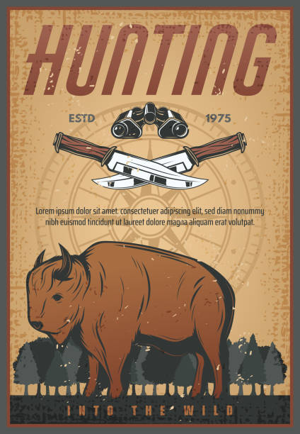 Hunting sport vintage banner with bison animal Hunting sport old grunge banner with wild bison animal. Brown buffalo or ox bull retro poster with hunter knife, binoculars and vintage compass rose for hunt animal open season design buffalo shooting stock illustrations