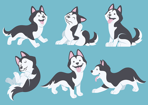 husky dog cartoon set