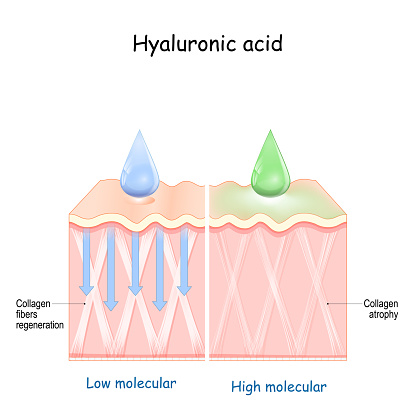 Hyaluronic acid. skin rejuvenation