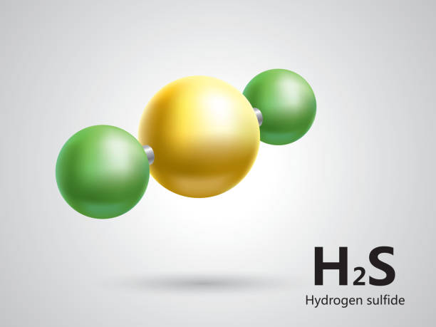 hydrogen-sulfide-molecular-model-vector