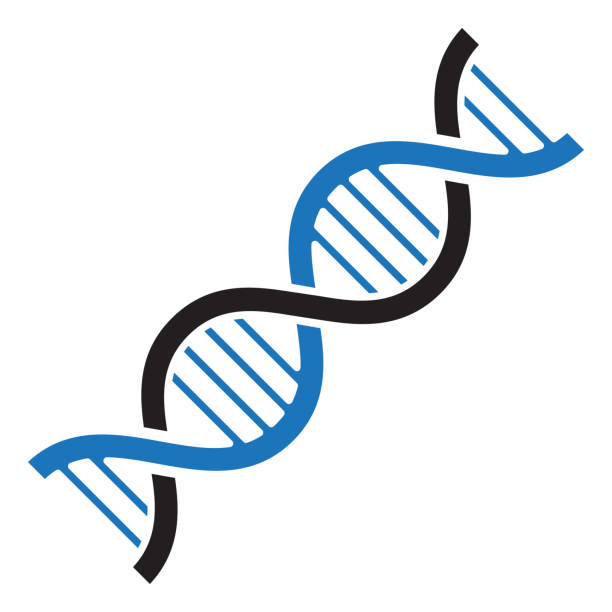 DNA icon. Black and blue colors. Vector illustration DNA icon. Black and blue colors. Vector illustration helix stock illustrations