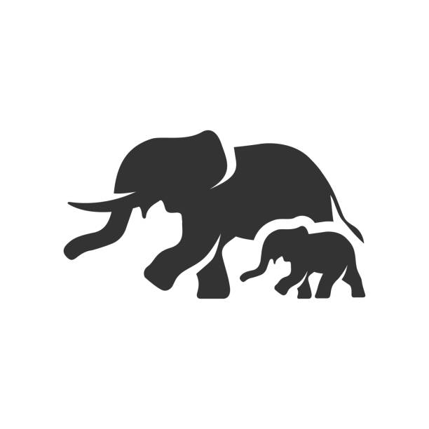 Royalty Free Elephant Tail Clip Art, Vector Images & Illustrations - iStock