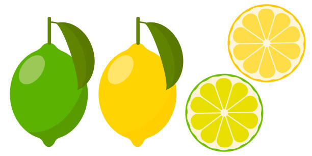 ilustrações de stock, clip art, desenhos animados e ícones de icon lemon and lime, vector. - lime