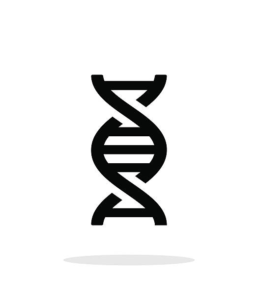 DNA icon on white background. DNA simple icon on white background. Vector illustration. dna icons stock illustrations