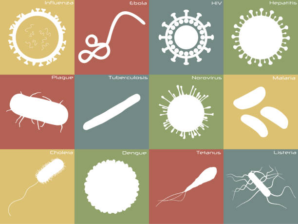 Icon set of different diseases Large and detailed icon set of different germs listeria stock illustrations