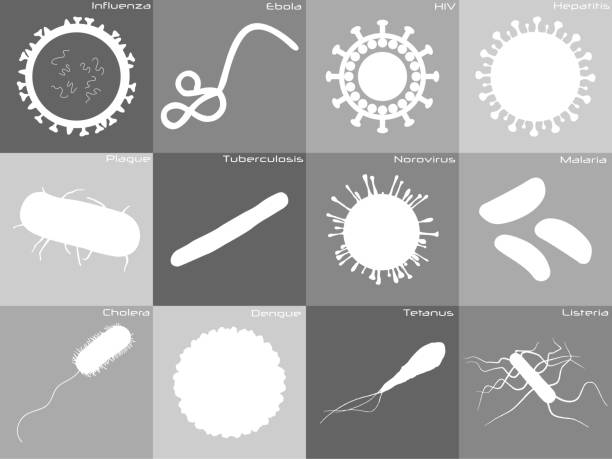 Icon set of different diseases Large and detailed icon set of different germs listeria stock illustrations